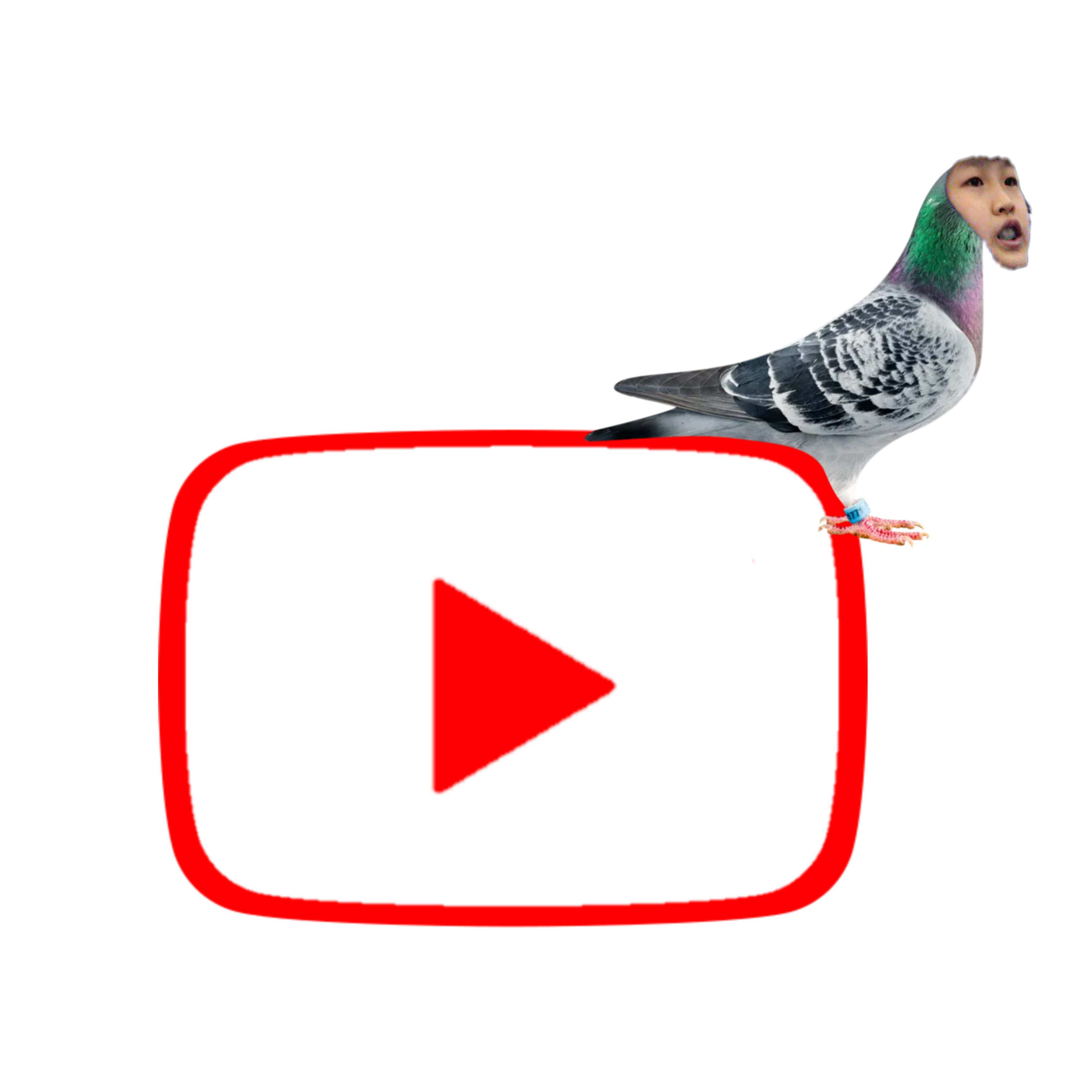 DitzoTV